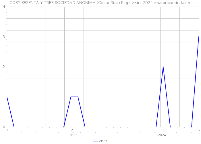 COBY SESENTA Y TRES SOCIEDAD ANONIMA (Costa Rica) Page visits 2024 