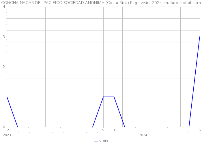 CONCHA NACAR DEL PACIFICO SOCIEDAD ANONIMA (Costa Rica) Page visits 2024 