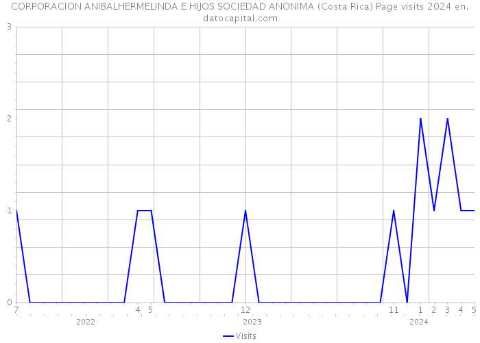 CORPORACION ANIBALHERMELINDA E HIJOS SOCIEDAD ANONIMA (Costa Rica) Page visits 2024 