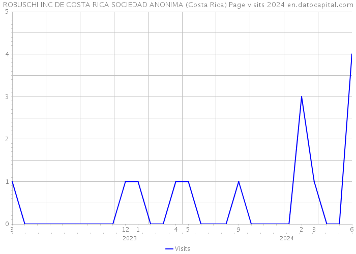 ROBUSCHI INC DE COSTA RICA SOCIEDAD ANONIMA (Costa Rica) Page visits 2024 