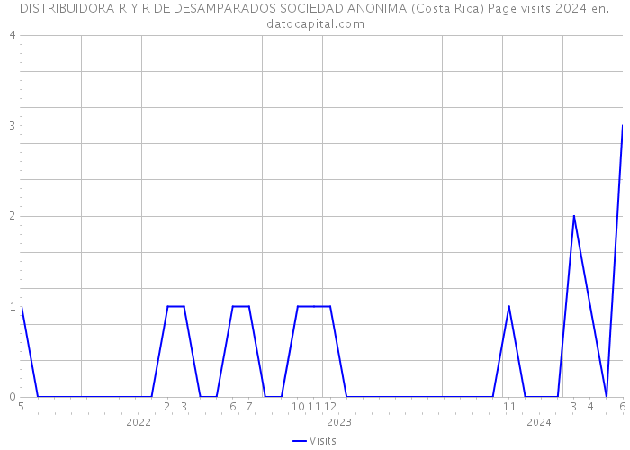 DISTRIBUIDORA R Y R DE DESAMPARADOS SOCIEDAD ANONIMA (Costa Rica) Page visits 2024 