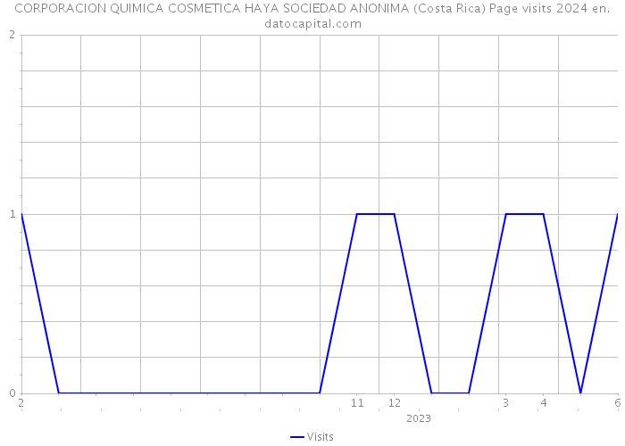 CORPORACION QUIMICA COSMETICA HAYA SOCIEDAD ANONIMA (Costa Rica) Page visits 2024 