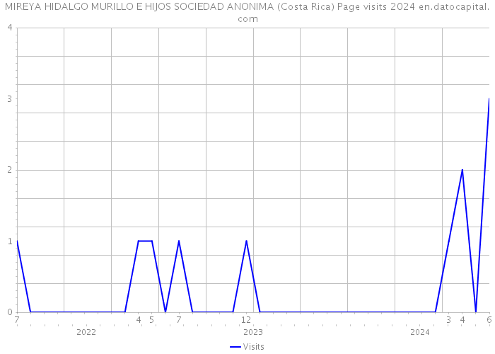 MIREYA HIDALGO MURILLO E HIJOS SOCIEDAD ANONIMA (Costa Rica) Page visits 2024 