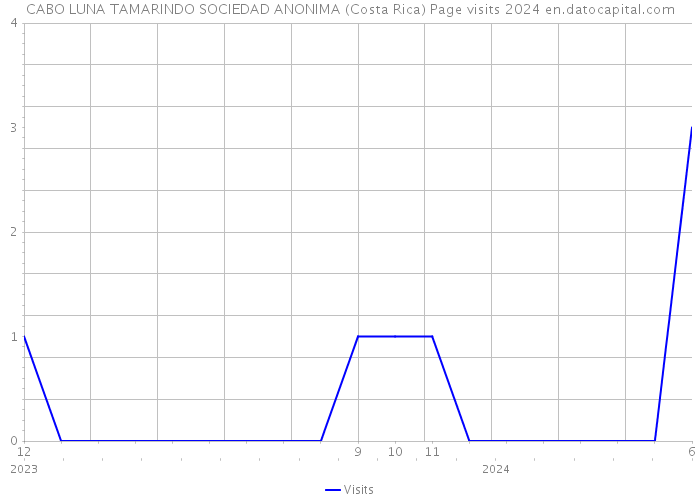 CABO LUNA TAMARINDO SOCIEDAD ANONIMA (Costa Rica) Page visits 2024 