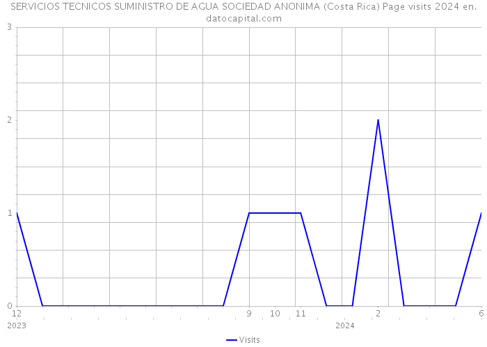 SERVICIOS TECNICOS SUMINISTRO DE AGUA SOCIEDAD ANONIMA (Costa Rica) Page visits 2024 