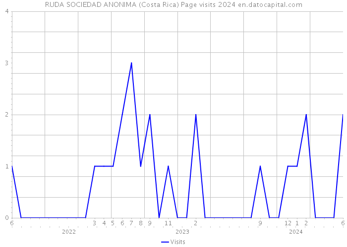 RUDA SOCIEDAD ANONIMA (Costa Rica) Page visits 2024 