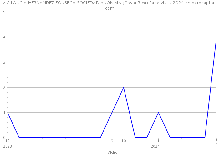 VIGILANCIA HERNANDEZ FONSECA SOCIEDAD ANONIMA (Costa Rica) Page visits 2024 