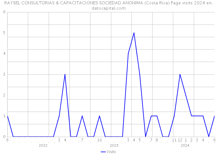 RAYSEL CONSULTORIAS & CAPACITACIONES SOCIEDAD ANONIMA (Costa Rica) Page visits 2024 