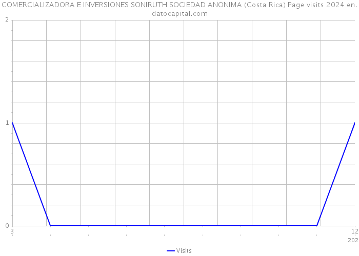 COMERCIALIZADORA E INVERSIONES SONIRUTH SOCIEDAD ANONIMA (Costa Rica) Page visits 2024 