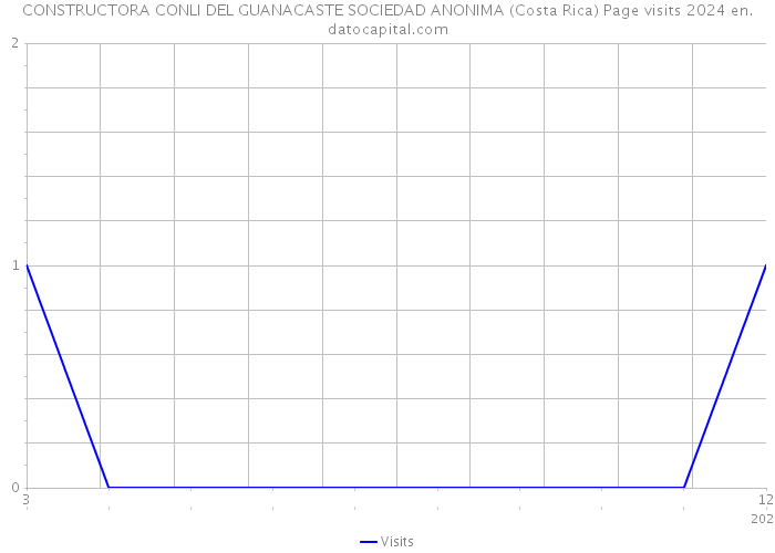 CONSTRUCTORA CONLI DEL GUANACASTE SOCIEDAD ANONIMA (Costa Rica) Page visits 2024 
