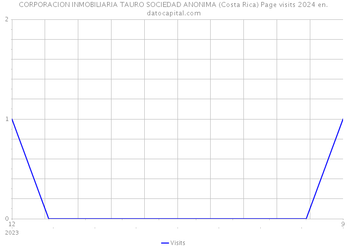 CORPORACION INMOBILIARIA TAURO SOCIEDAD ANONIMA (Costa Rica) Page visits 2024 