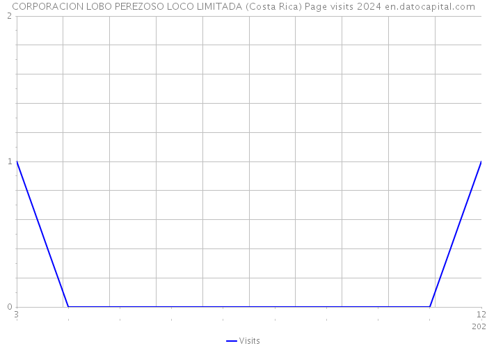 CORPORACION LOBO PEREZOSO LOCO LIMITADA (Costa Rica) Page visits 2024 