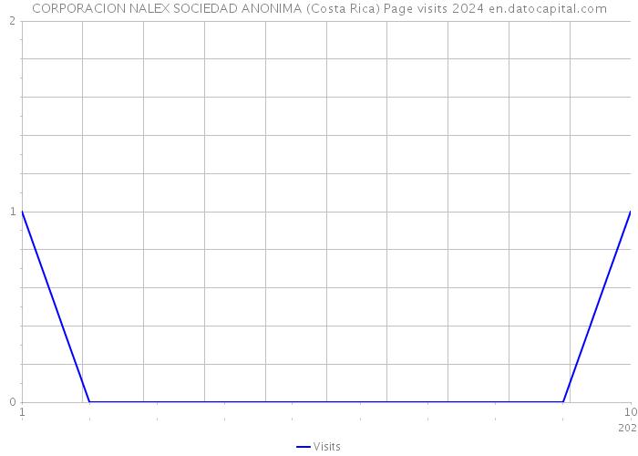 CORPORACION NALEX SOCIEDAD ANONIMA (Costa Rica) Page visits 2024 