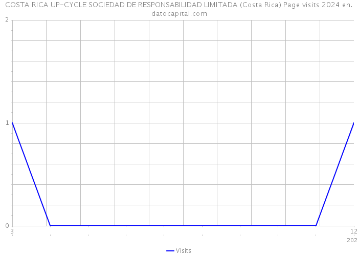 COSTA RICA UP-CYCLE SOCIEDAD DE RESPONSABILIDAD LIMITADA (Costa Rica) Page visits 2024 