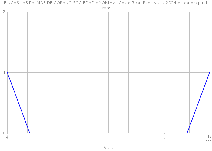 FINCAS LAS PALMAS DE COBANO SOCIEDAD ANONIMA (Costa Rica) Page visits 2024 