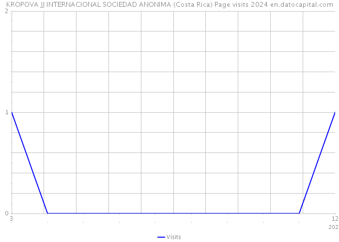 KROPOVA JJ INTERNACIONAL SOCIEDAD ANONIMA (Costa Rica) Page visits 2024 