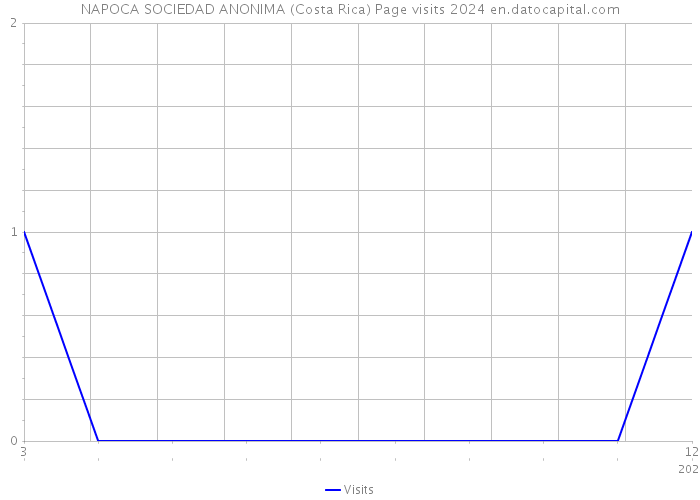 NAPOCA SOCIEDAD ANONIMA (Costa Rica) Page visits 2024 