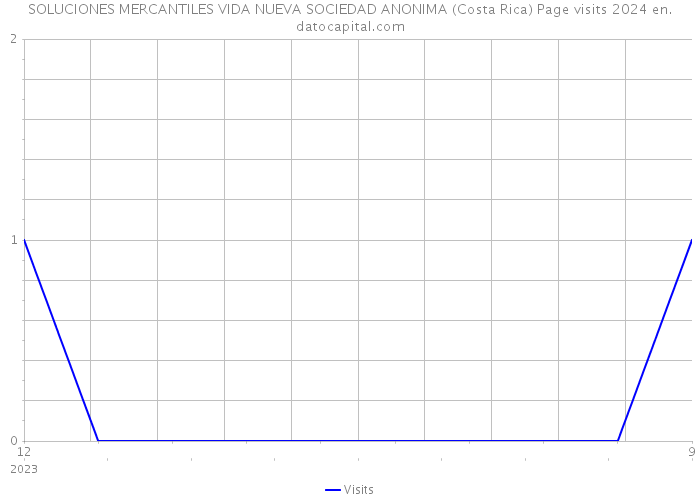 SOLUCIONES MERCANTILES VIDA NUEVA SOCIEDAD ANONIMA (Costa Rica) Page visits 2024 