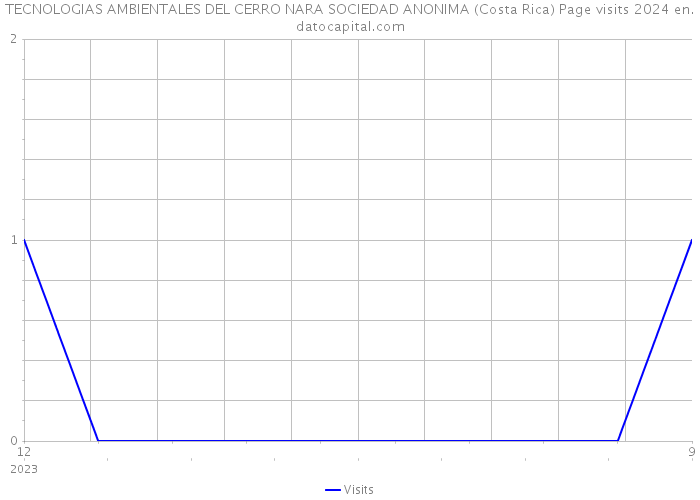 TECNOLOGIAS AMBIENTALES DEL CERRO NARA SOCIEDAD ANONIMA (Costa Rica) Page visits 2024 