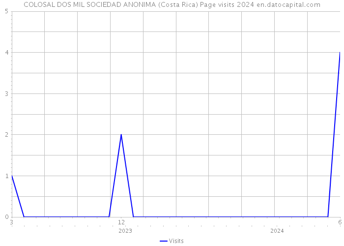 COLOSAL DOS MIL SOCIEDAD ANONIMA (Costa Rica) Page visits 2024 