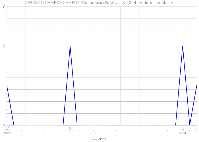 GERARDO CAMPOS CAMPOS (Costa Rica) Page visits 2024 