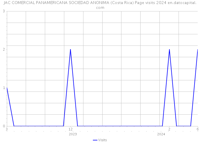 JAC COMERCIAL PANAMERICANA SOCIEDAD ANONIMA (Costa Rica) Page visits 2024 