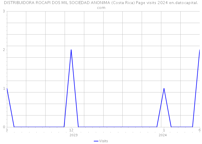 DISTRIBUIDORA ROCAPI DOS MIL SOCIEDAD ANONIMA (Costa Rica) Page visits 2024 