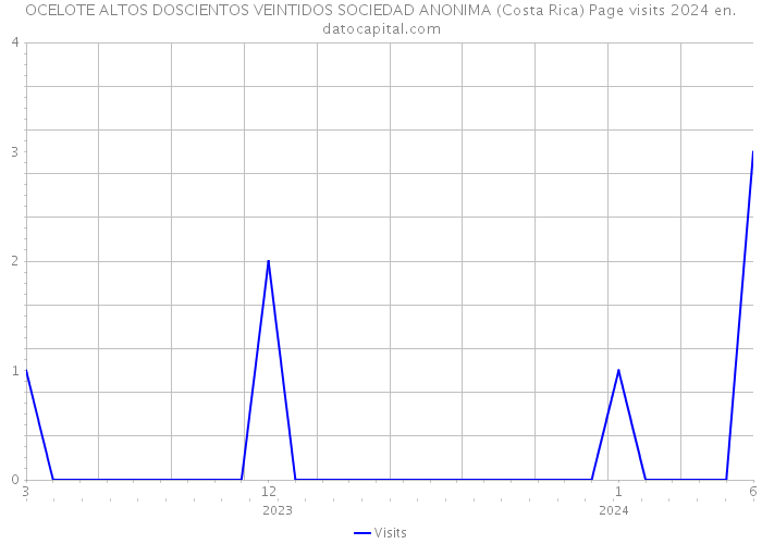 OCELOTE ALTOS DOSCIENTOS VEINTIDOS SOCIEDAD ANONIMA (Costa Rica) Page visits 2024 