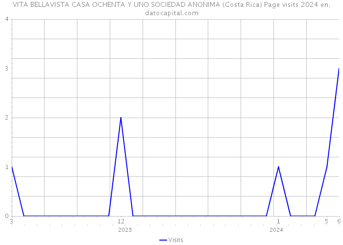 VITA BELLAVISTA CASA OCHENTA Y UNO SOCIEDAD ANONIMA (Costa Rica) Page visits 2024 