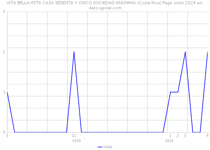 VITA BELLAVISTA CASA SESENTA Y CINCO SOCIEDAD ANONIMA (Costa Rica) Page visits 2024 