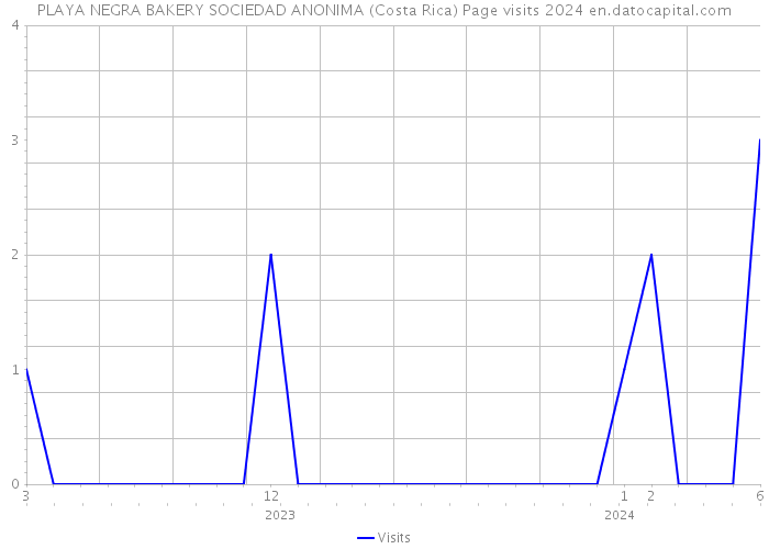 PLAYA NEGRA BAKERY SOCIEDAD ANONIMA (Costa Rica) Page visits 2024 