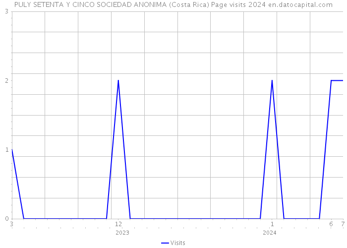 PULY SETENTA Y CINCO SOCIEDAD ANONIMA (Costa Rica) Page visits 2024 