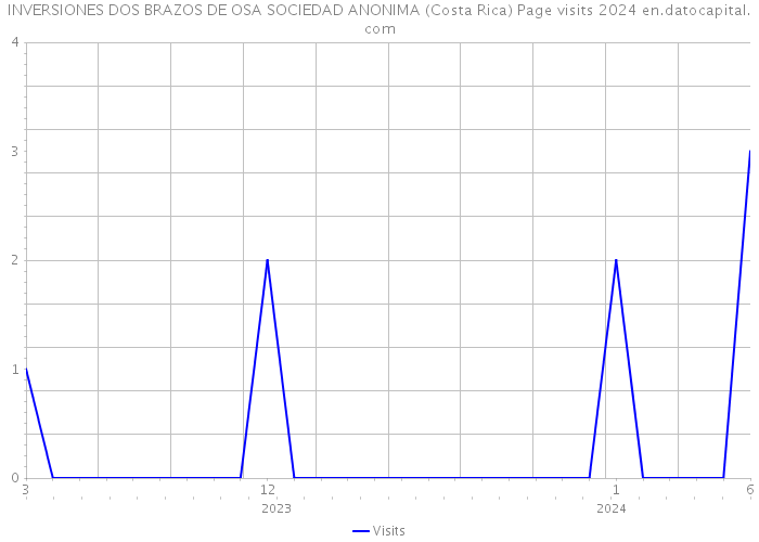 INVERSIONES DOS BRAZOS DE OSA SOCIEDAD ANONIMA (Costa Rica) Page visits 2024 