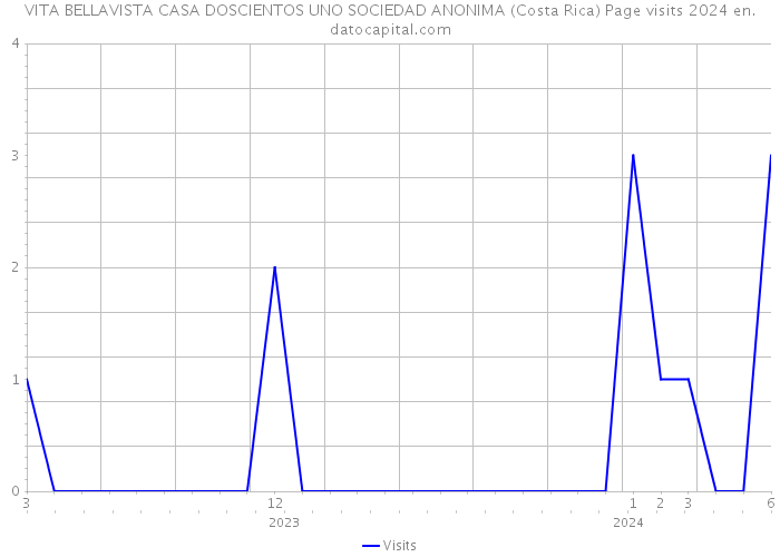 VITA BELLAVISTA CASA DOSCIENTOS UNO SOCIEDAD ANONIMA (Costa Rica) Page visits 2024 