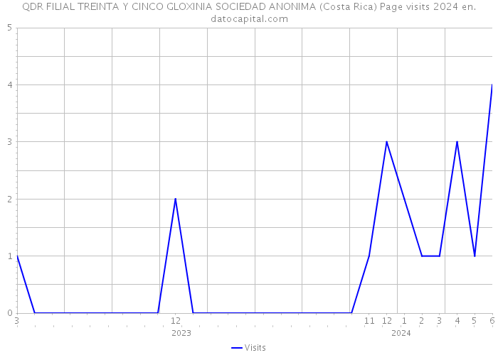 QDR FILIAL TREINTA Y CINCO GLOXINIA SOCIEDAD ANONIMA (Costa Rica) Page visits 2024 