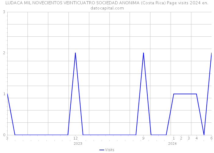 LUDACA MIL NOVECIENTOS VEINTICUATRO SOCIEDAD ANONIMA (Costa Rica) Page visits 2024 