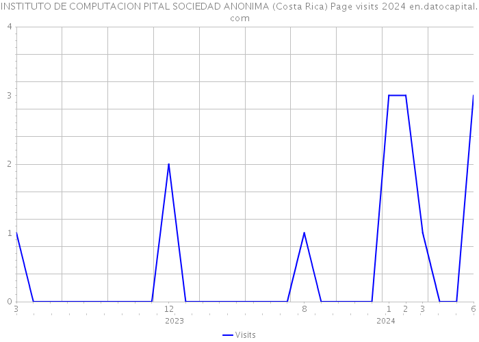 INSTITUTO DE COMPUTACION PITAL SOCIEDAD ANONIMA (Costa Rica) Page visits 2024 