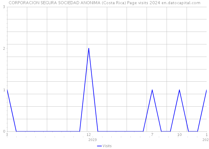 CORPORACION SEGURA SOCIEDAD ANONIMA (Costa Rica) Page visits 2024 