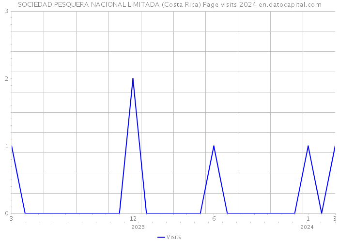 SOCIEDAD PESQUERA NACIONAL LIMITADA (Costa Rica) Page visits 2024 