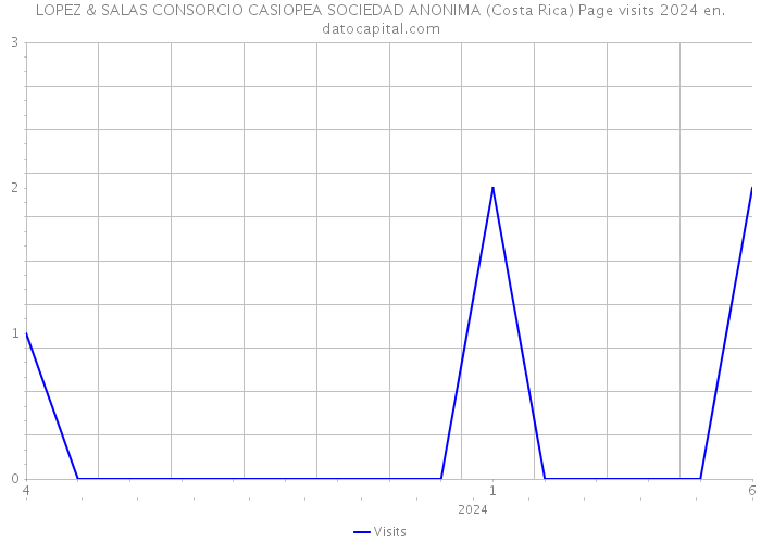 LOPEZ & SALAS CONSORCIO CASIOPEA SOCIEDAD ANONIMA (Costa Rica) Page visits 2024 