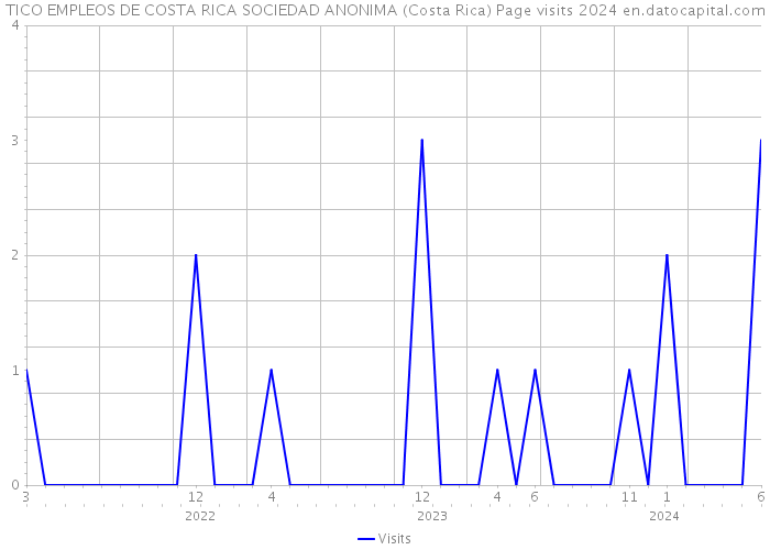 TICO EMPLEOS DE COSTA RICA SOCIEDAD ANONIMA (Costa Rica) Page visits 2024 