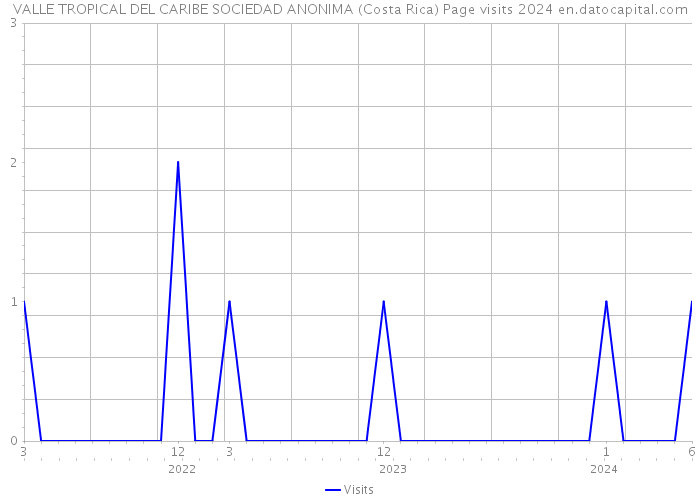 VALLE TROPICAL DEL CARIBE SOCIEDAD ANONIMA (Costa Rica) Page visits 2024 