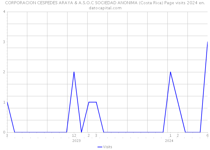 CORPORACION CESPEDES ARAYA & A.S.O.C SOCIEDAD ANONIMA (Costa Rica) Page visits 2024 
