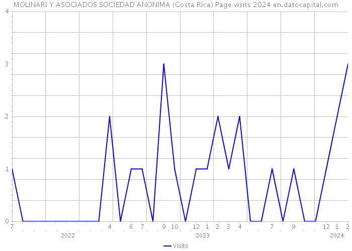 MOLINARI Y ASOCIADOS SOCIEDAD ANONIMA (Costa Rica) Page visits 2024 