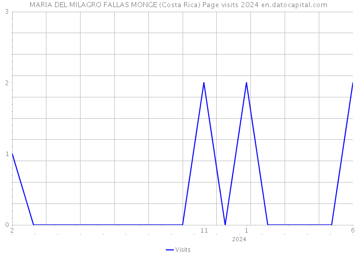 MARIA DEL MILAGRO FALLAS MONGE (Costa Rica) Page visits 2024 