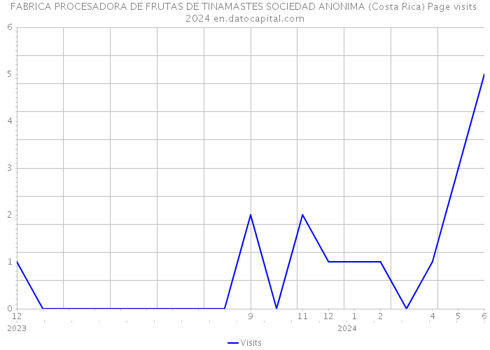 FABRICA PROCESADORA DE FRUTAS DE TINAMASTES SOCIEDAD ANONIMA (Costa Rica) Page visits 2024 