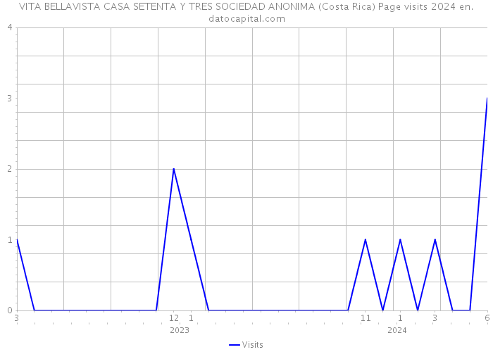 VITA BELLAVISTA CASA SETENTA Y TRES SOCIEDAD ANONIMA (Costa Rica) Page visits 2024 