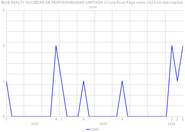 BLUE REALTY SOCIEDAD DE RESPONSABILIDAD LIMITADA (Costa Rica) Page visits 2024 