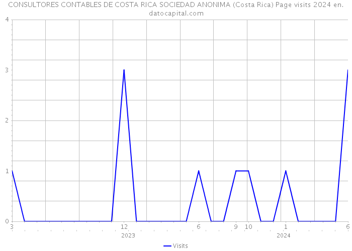CONSULTORES CONTABLES DE COSTA RICA SOCIEDAD ANONIMA (Costa Rica) Page visits 2024 