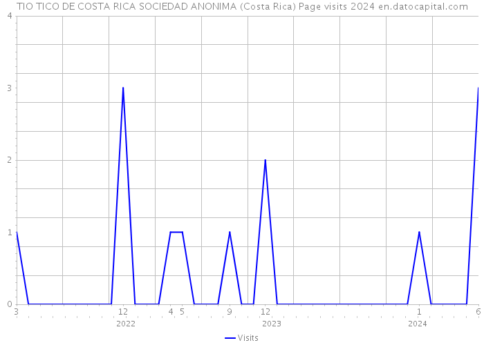 TIO TICO DE COSTA RICA SOCIEDAD ANONIMA (Costa Rica) Page visits 2024 